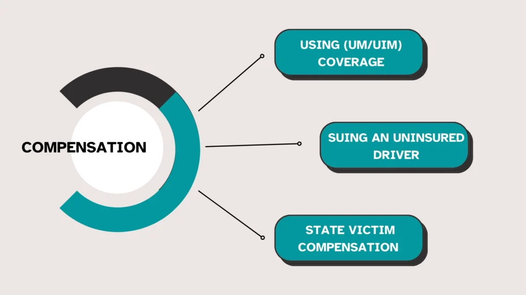 Graphic shows options car accident attorney no insurance may pursue: UM/UIM, lawsuit, victim compensation